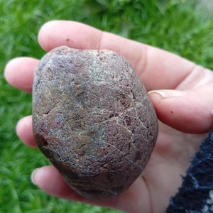 May include: A smooth, rounded stone with a mottled surface of reddish-brown and gray hues. The stone is held in a hand, with green grass visible in the background. The stone's texture appears slightly rough.
