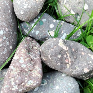 May include: A collection of smooth, rounded river stones featuring a dark gray and reddish-brown base color with speckled white, light gray, and green mineral inclusions. The stones are arranged in a cluster with blades of green grass visible.
