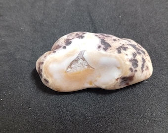 May include: An oval-shaped stone with a cream base and dark brown speckles. The stone has a smooth texture and a small, triangular opening revealing a lighter interior. The stone is set against a dark background.