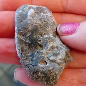 May include: A gray and brown rock with a rough, textured surface. The rock has several small holes and a slightly translucent appearance. The rock is held in a hand with a pink glitter nail polish.