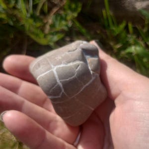 Lightning Stone from Scotland, Scottish Septarian, Calcite in Ironstone, Self Collected