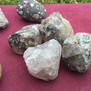 May include: A collection of six natural quartz crystals, some with smoky brown and clear white hues, on a red surface. The crystals are rough and have a natural, unpolished look.