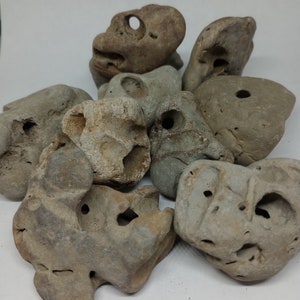 "Echte schottische Hagstones (1 Stück)""