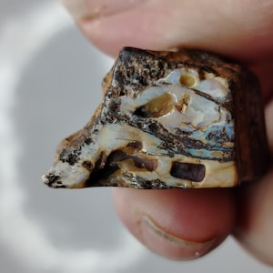 Koroit Boulder Opal Specimen