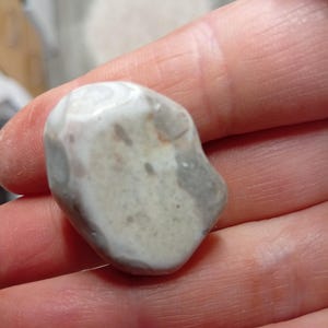 スコットランド産の縞模様の研磨済み自家採集白フリント