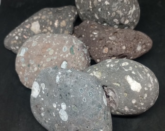 1 pcs Medium Sized Scottish Galaxy Stone: Amygdaloidal Vesicular Basalt