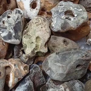 May include: A collection of various-sized, weathered stones. The stones display a range of colors, including gray, brown, and off-white. Many have holes and unique textures, suggesting natural erosion. Ideal for decorative purposes or crafting.