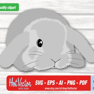 May include: A gray bunny rabbit with large ears is lying down with its head resting on the ground. The bunny has black eyes and a small black nose.