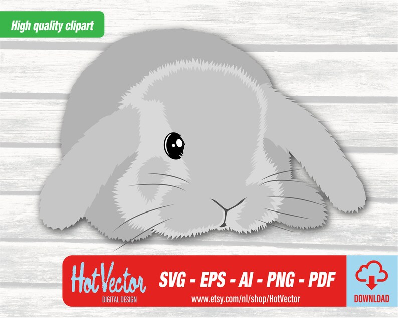 May include: A gray bunny rabbit with large ears is lying down with its head resting on the ground. The bunny has black eyes and a small black nose.