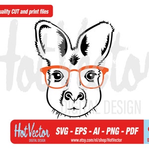 Coole Känguru Brille digitale Clipart, Australien Grafik für persönlichen und kommerziellen Gebrauch, sofortiger Download, geschnittene Clip Art Datei für Handwerker