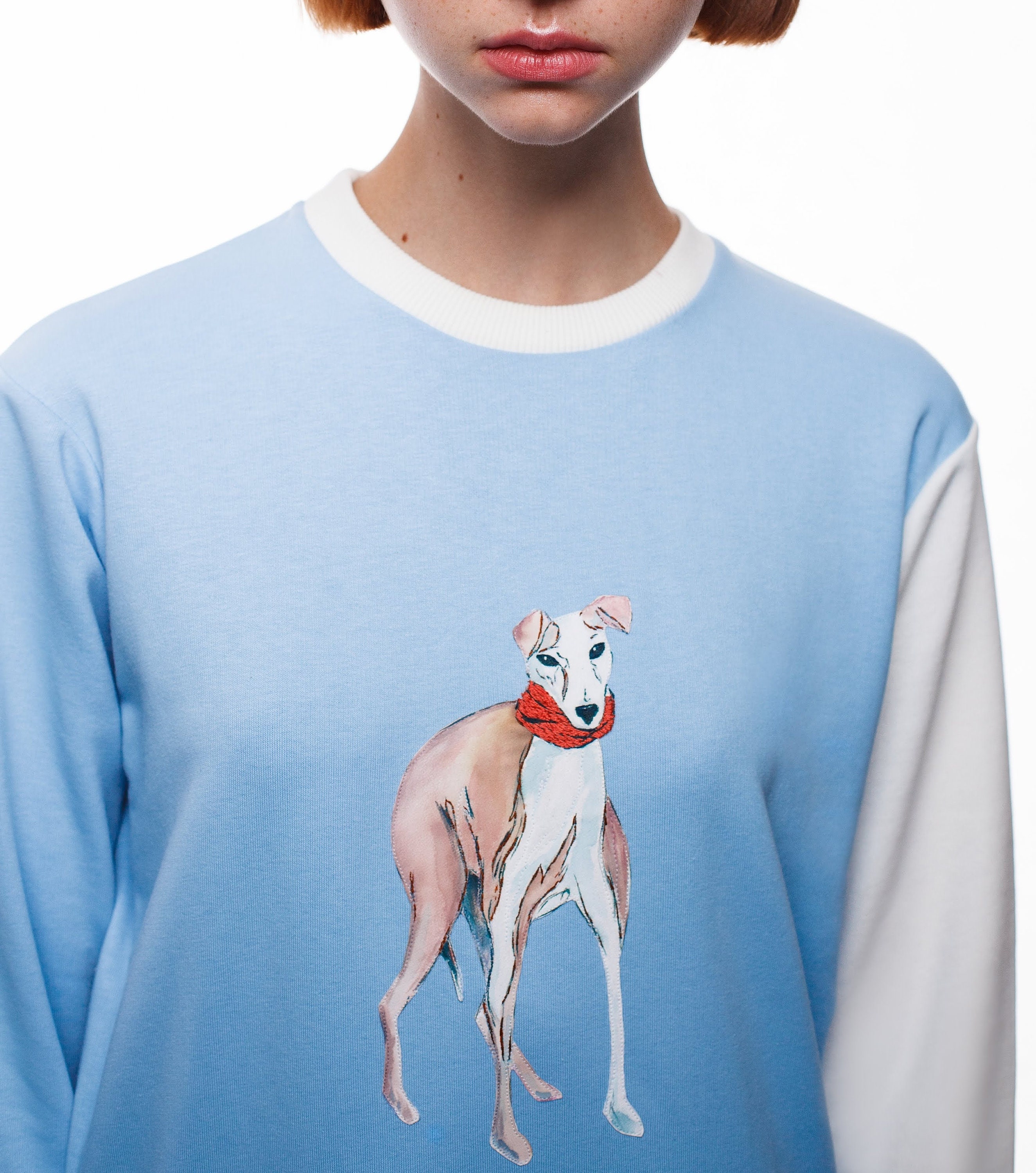 custom dog embroidered sweatshirt