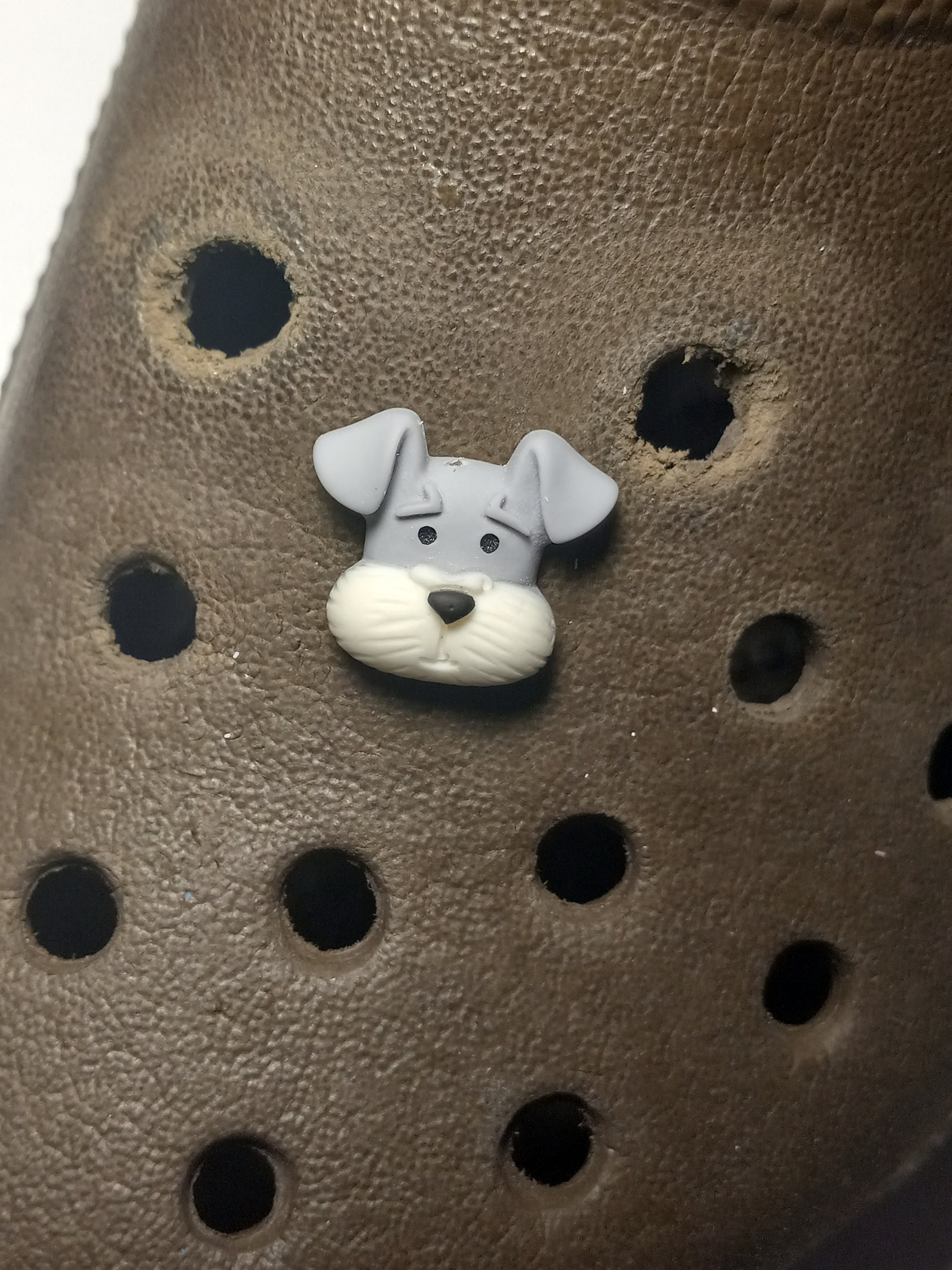 Schnauzer jibbitz outlet