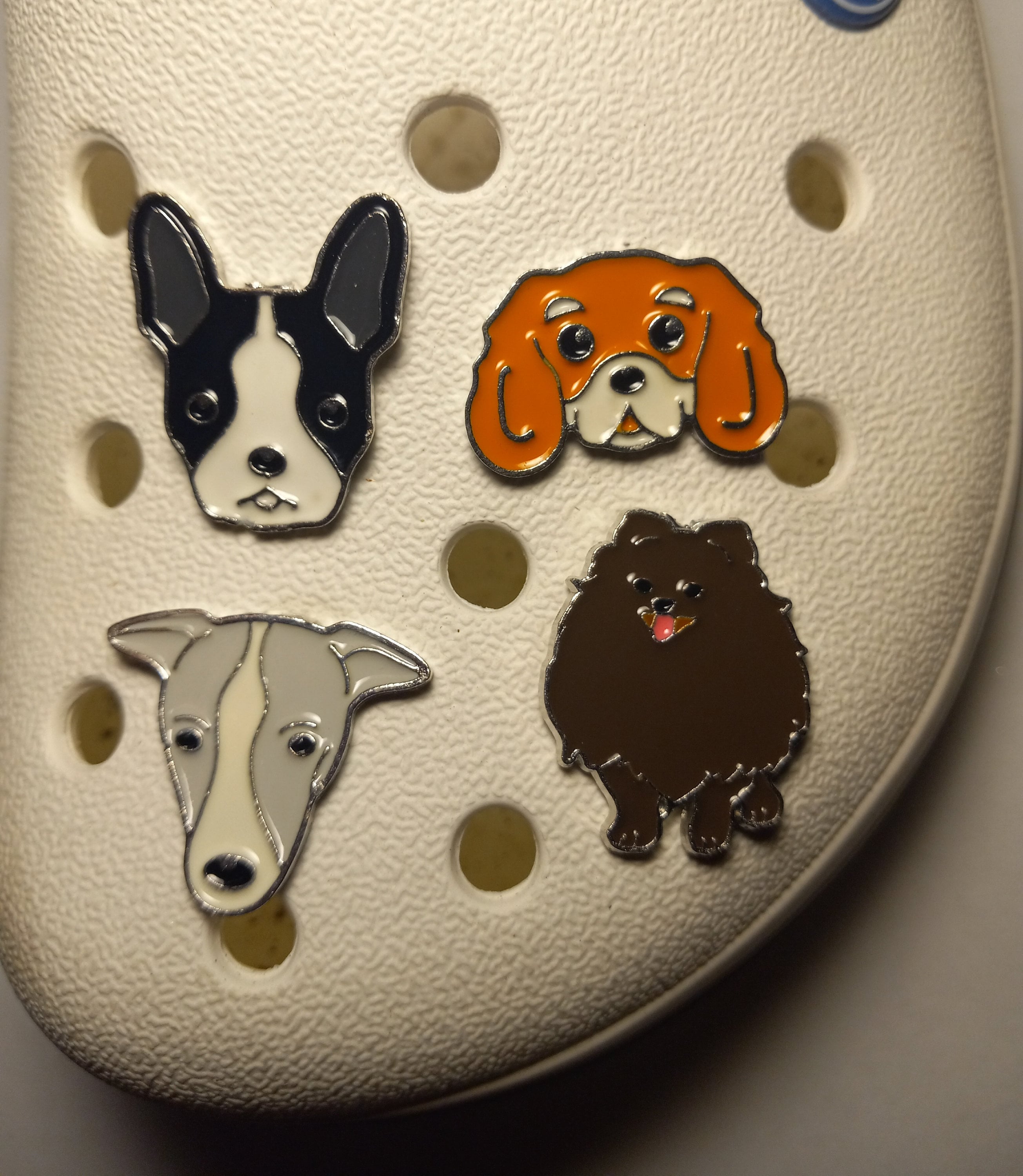 Crocs Charms Pomeranian, Teddy Shoe Decorations