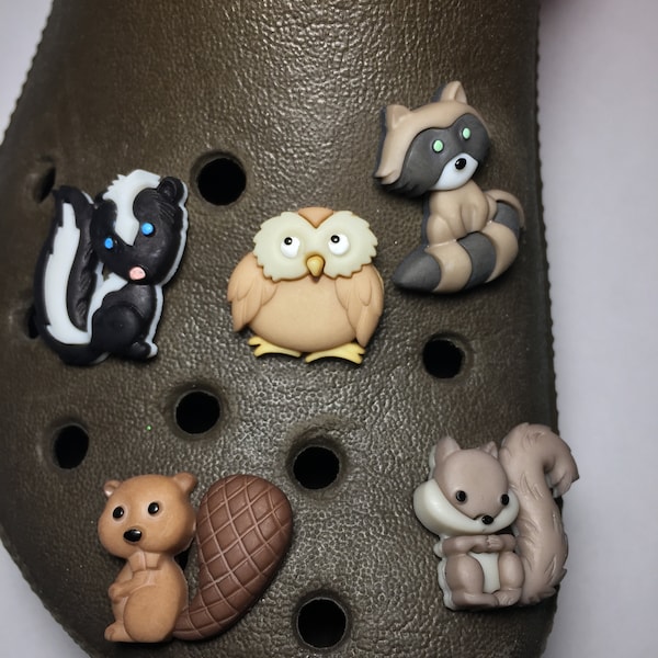 Handmade Animal Shoe Charm for Rubber Clogs - Animals - Owl, Beaver, Fox, Skunk, Raccoon, Squirrel -teen, teenager, preteen, adult, cute