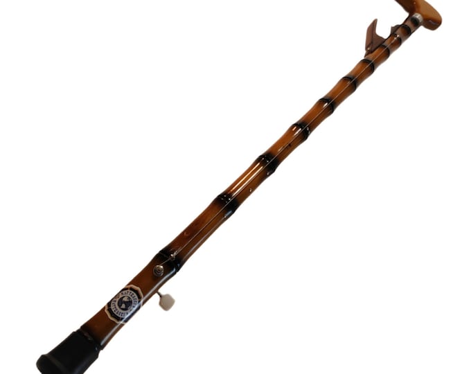 The Walking Stick Guitar one string by Matteacci's