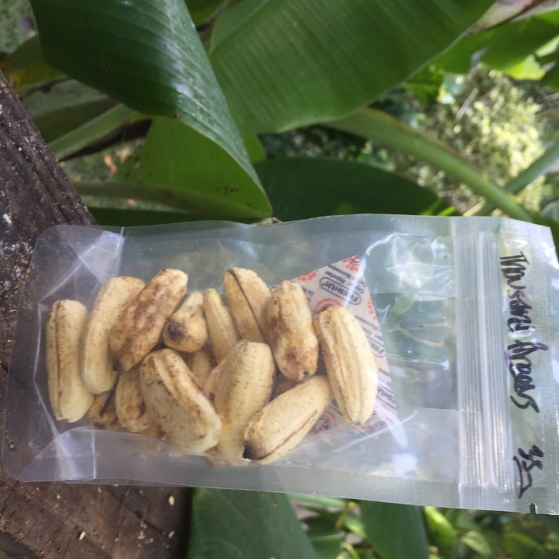 Freeze Dried Banana - Etsy