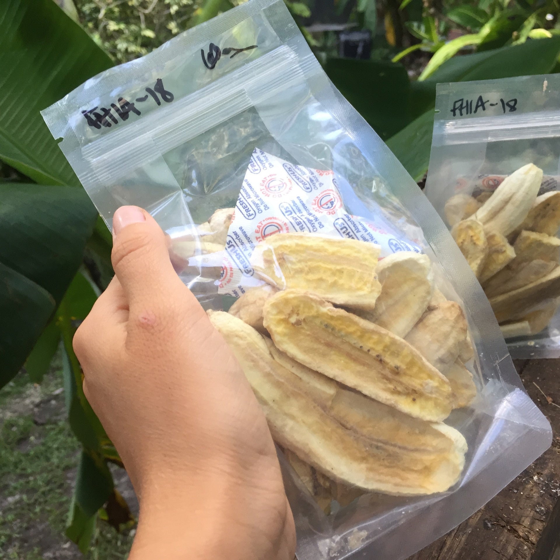 Freeze Dried Banana - Etsy