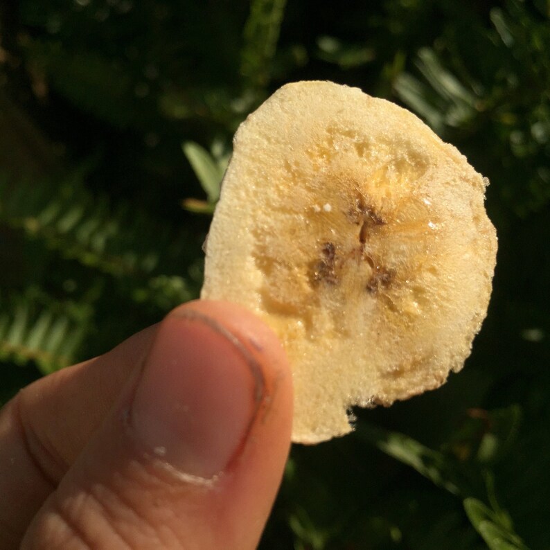 Freeze Dried Banana - Etsy
