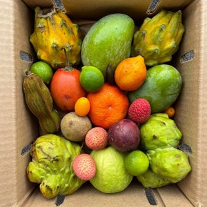Premium Variety Box