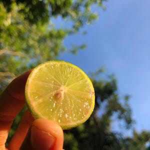 Key Lime