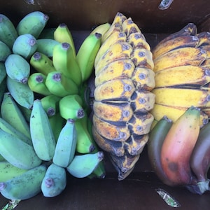 Scatola di varietà di banane