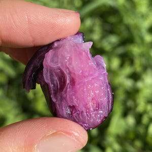 Jamun (Java Plum)