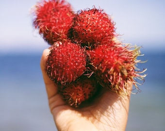 Rambután *Pedido anticipado*