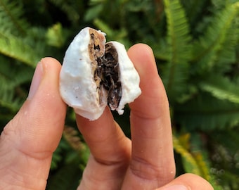 Freeze Dried Cacao
