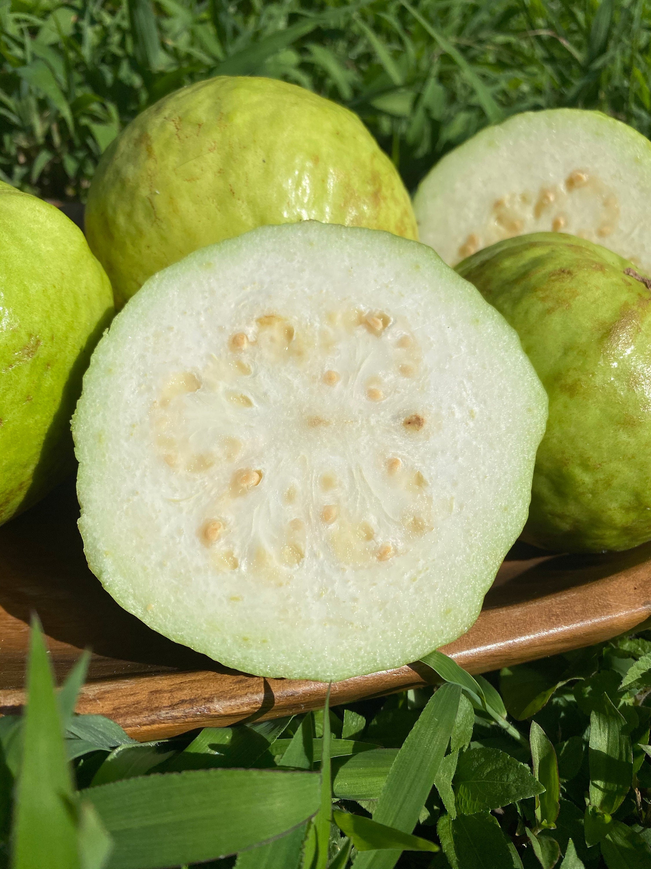 Guava Muslin Minaudiere White