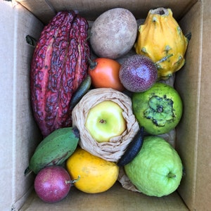 Variety Box