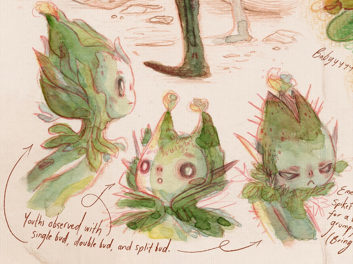 Shell-back Sprites | Art Print | Faerie Field Guide - Etsy