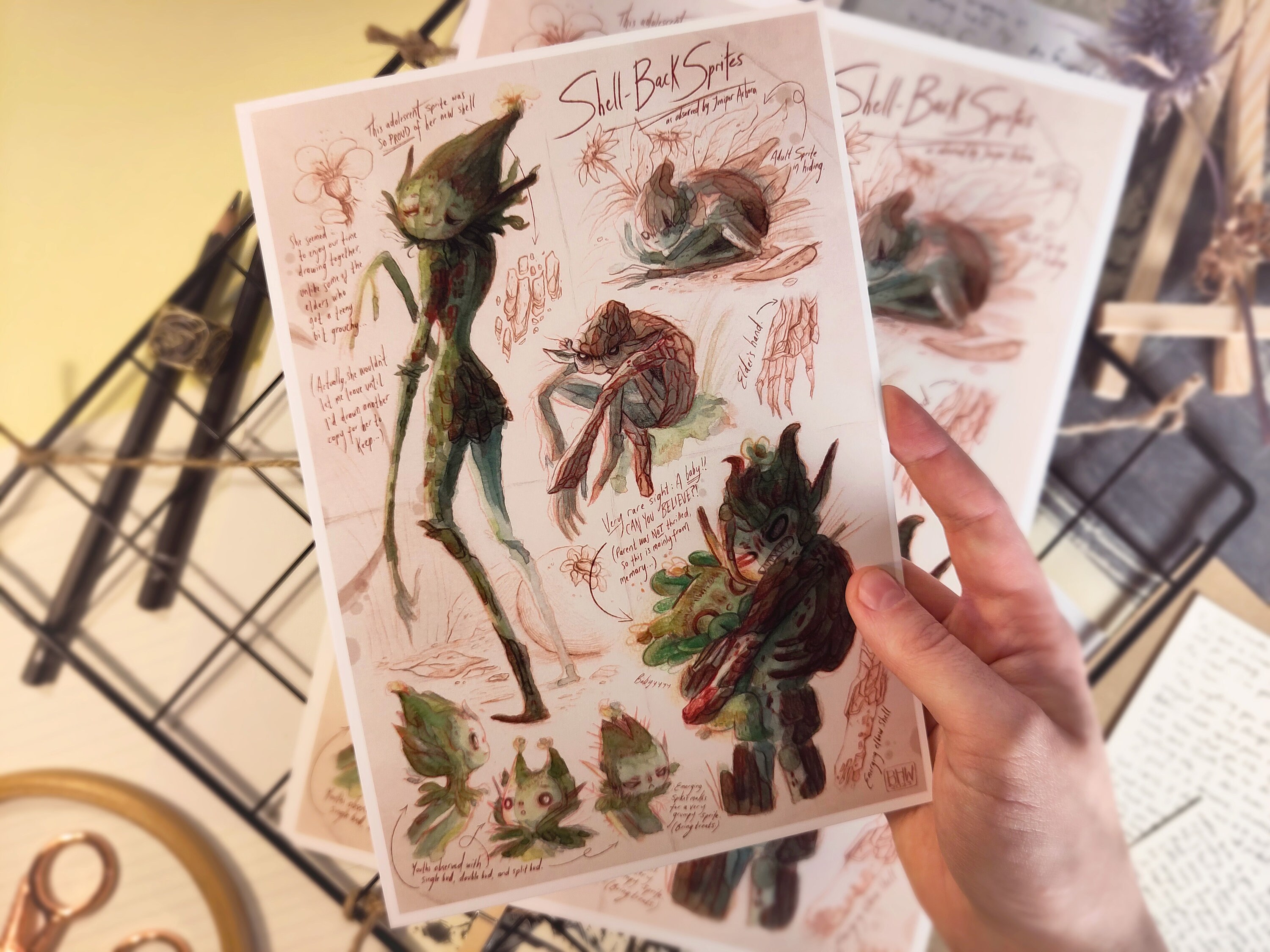 Shell-back Sprites | Art Print | Faerie Field Guide - Etsy