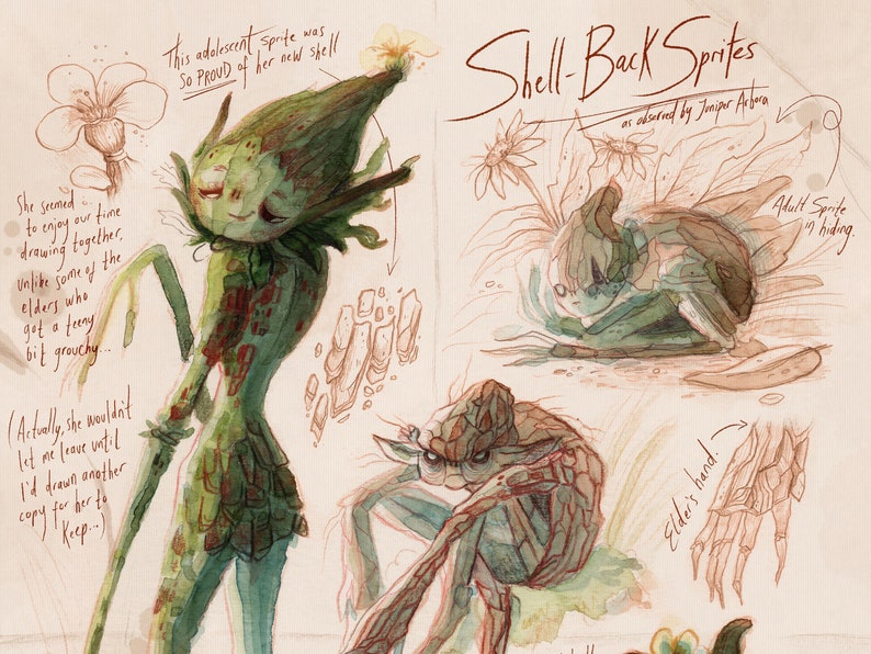 Shell-back Sprites | Art Print | Faerie Field Guide - Etsy