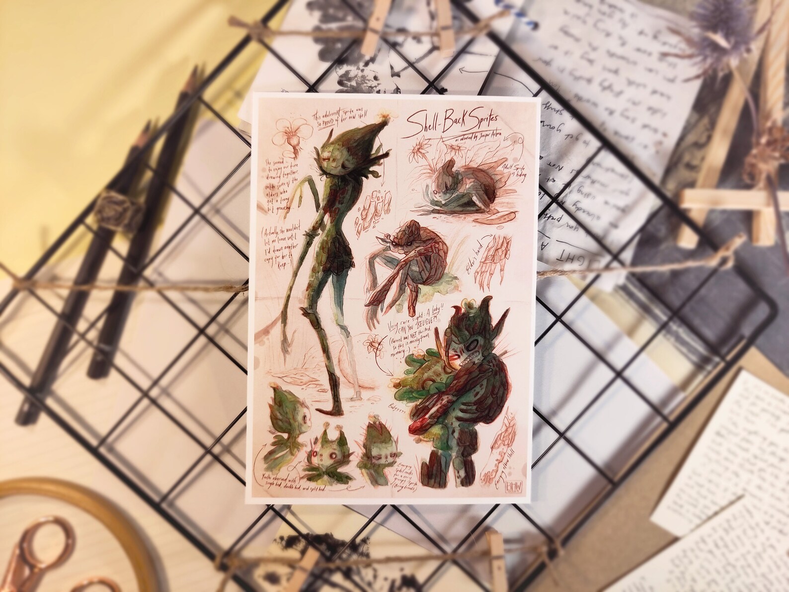 Shell-back Sprites | Art Print | Faerie Field Guide - Etsy