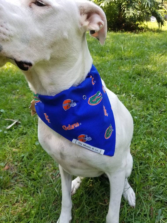 gators dog jersey