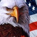 Merica