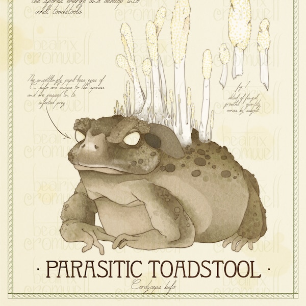 Parasitic Toadstool 11x14" Art Print