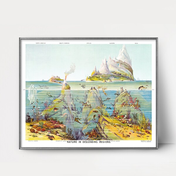 Scientific Illustration Prints Etsy