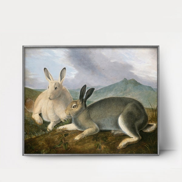 Antique Rabbit - Etsy