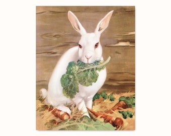 Rabbit Bathroom Decor Etsy