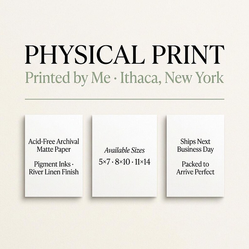 The image is a collage of three white square images, each displaying different sizes of acid-free matte paper and pigment inks.