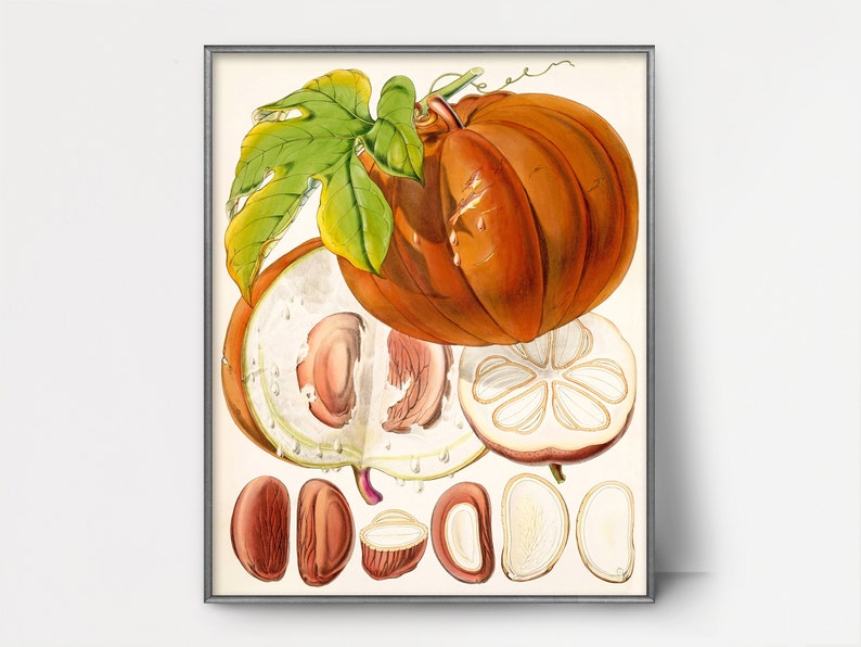 aLaCartePrints 1850s Pumpkin Print