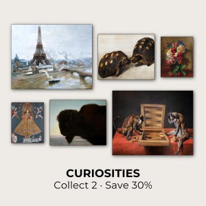 The image is a collage of various artworks, including paintings, sculptures, and photographs, with the title "Curiosities" and a discount offer of 30% off.