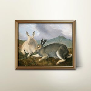 Rabbit Art Print - Arctic Hare by Audubon, Alaskan Wall Art