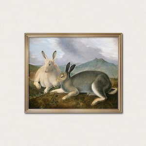 Rabbit Art Print - Arctic Hare by Audubon | Alaskan Wall Art