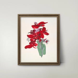 Red Canna, Georgia O'Keeffe Print - Vintage Red Flower Print
