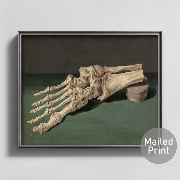 Skeleton of a Foot 18th Century Anatomy Art - antique goth decor, dark academia foot art, bones anatomy print, foot painting