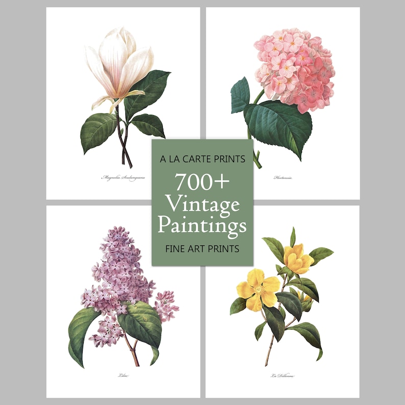 Botanical Wall Art Camellia Print Flower French Country White Home Decor