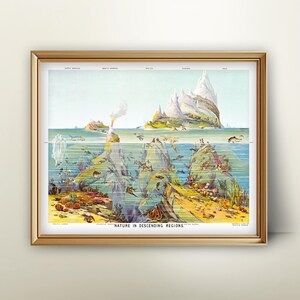 Impresión de gráfico oceánico vintage: ilustración científica, arte de ciencias de la tierra, arte mural educativo, impresión de geología, póster para el aula