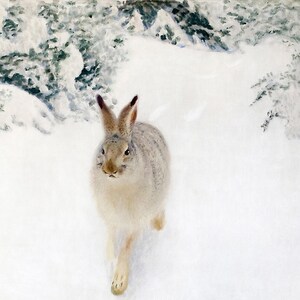 Minimalist Wildlife Painting | Winter Landscape Art | Bruno Liljefors, 1905 | Fine Art Print image 5